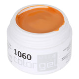 #1060 PURE Farbgel 5ml Orange - MSE - The Beauty Company