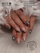 #017 Premium-PURE Color Gel 5ml Neutrales Graubraun - MSE - The Beauty Company