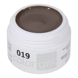 #019 Premium-PURE Color Gel 5ml Dunkler Greige-Ton
