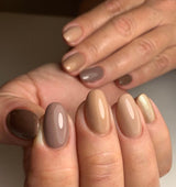 #381 Premium-PURE Color Gel 5ml Rehbraun - MSE - The Beauty Company