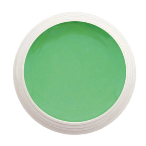 #843 Premium-PURE Color Gel 5ml Grün - MSE - The Beauty Company